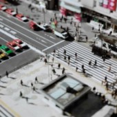 Thế giới thu nhỏ qua ống kính của Naoki Honjo